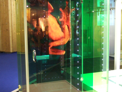 decorative laminated glass, bespoke colored laminated glass